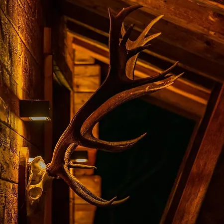 Hochleger - Refugium Am Berg Apartment Aschau Im Zillertal