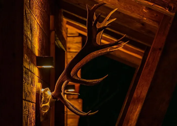 Hochleger - Refugium Am Berg 公寓 Aschau Im Zillertal